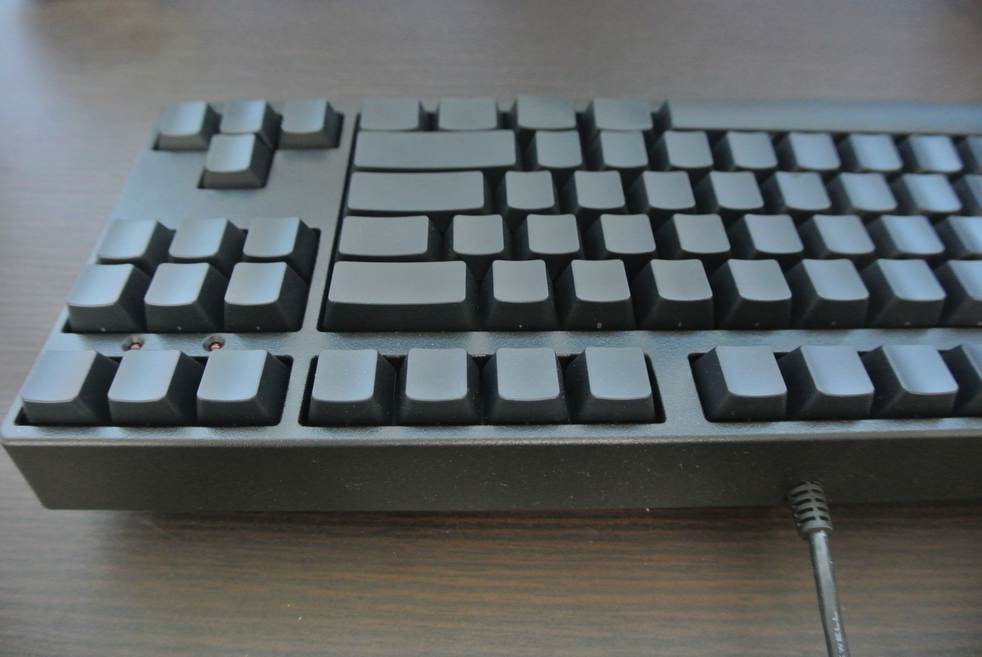 back.resized.jpg