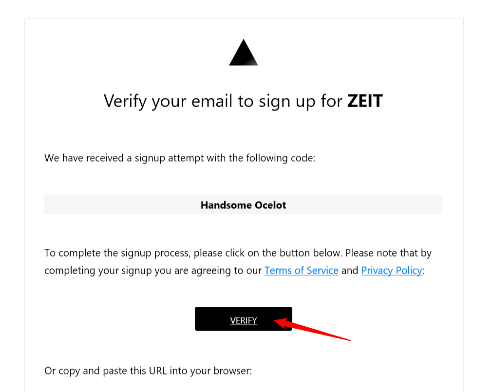 verify-now-email.png